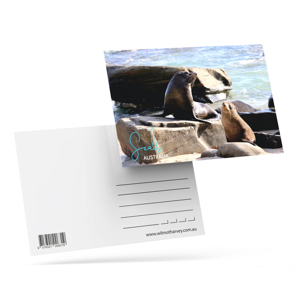 3D Postcard - Seals