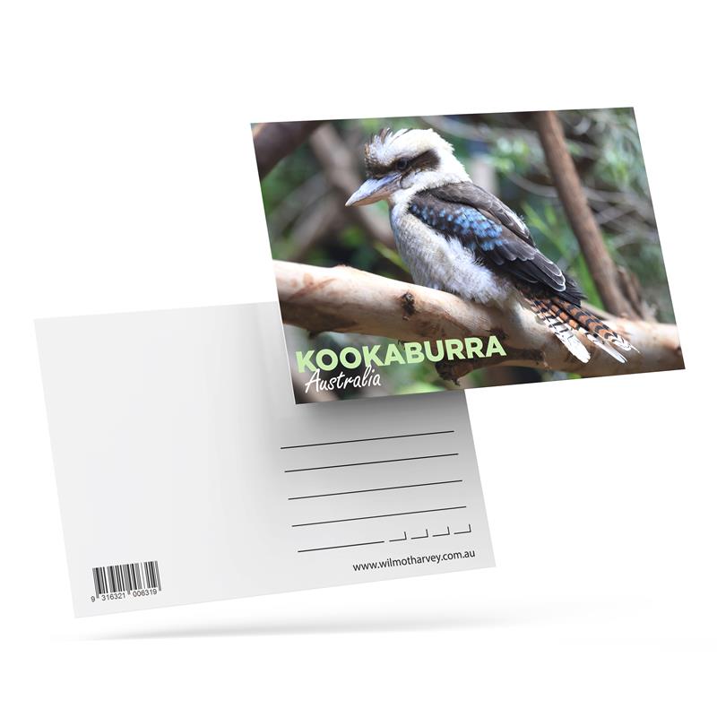 3D Postcard - Kookaburra