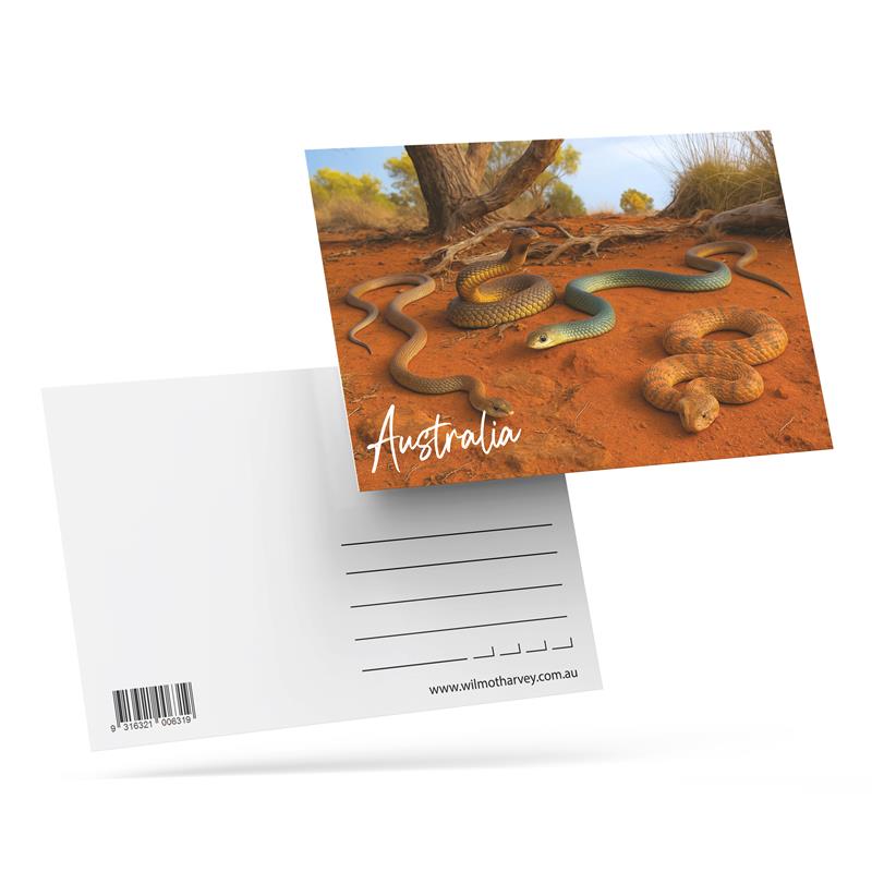 3D Postcard - Snakes Outback