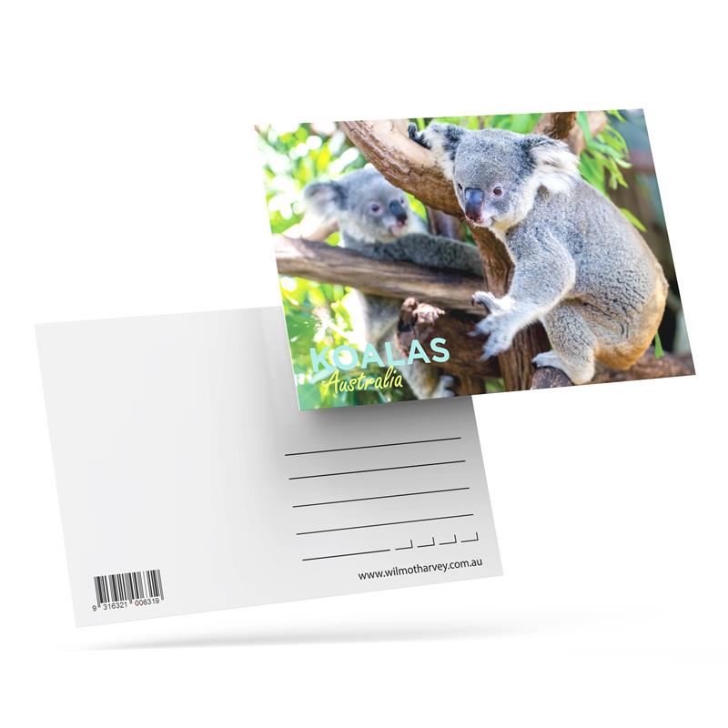 3D Postcard - Koalas