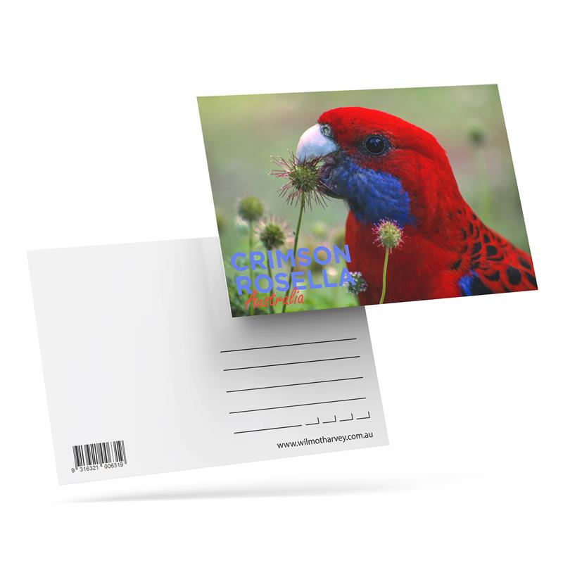 3D Postcard - Crimson Rosella