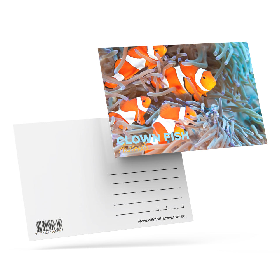 3D Postcard - Clown Fish