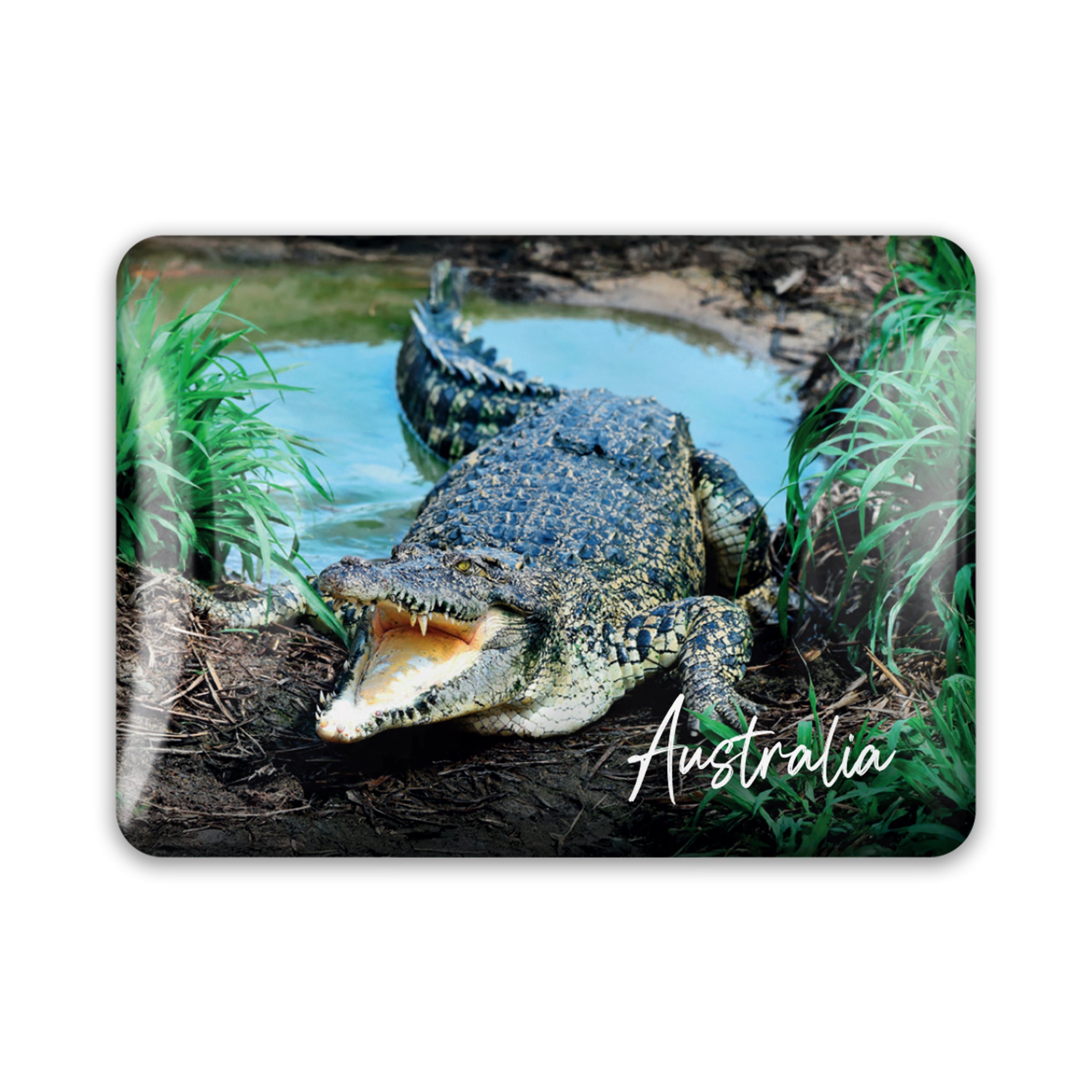 Acrylic Magnet - Crocodile Rectangle