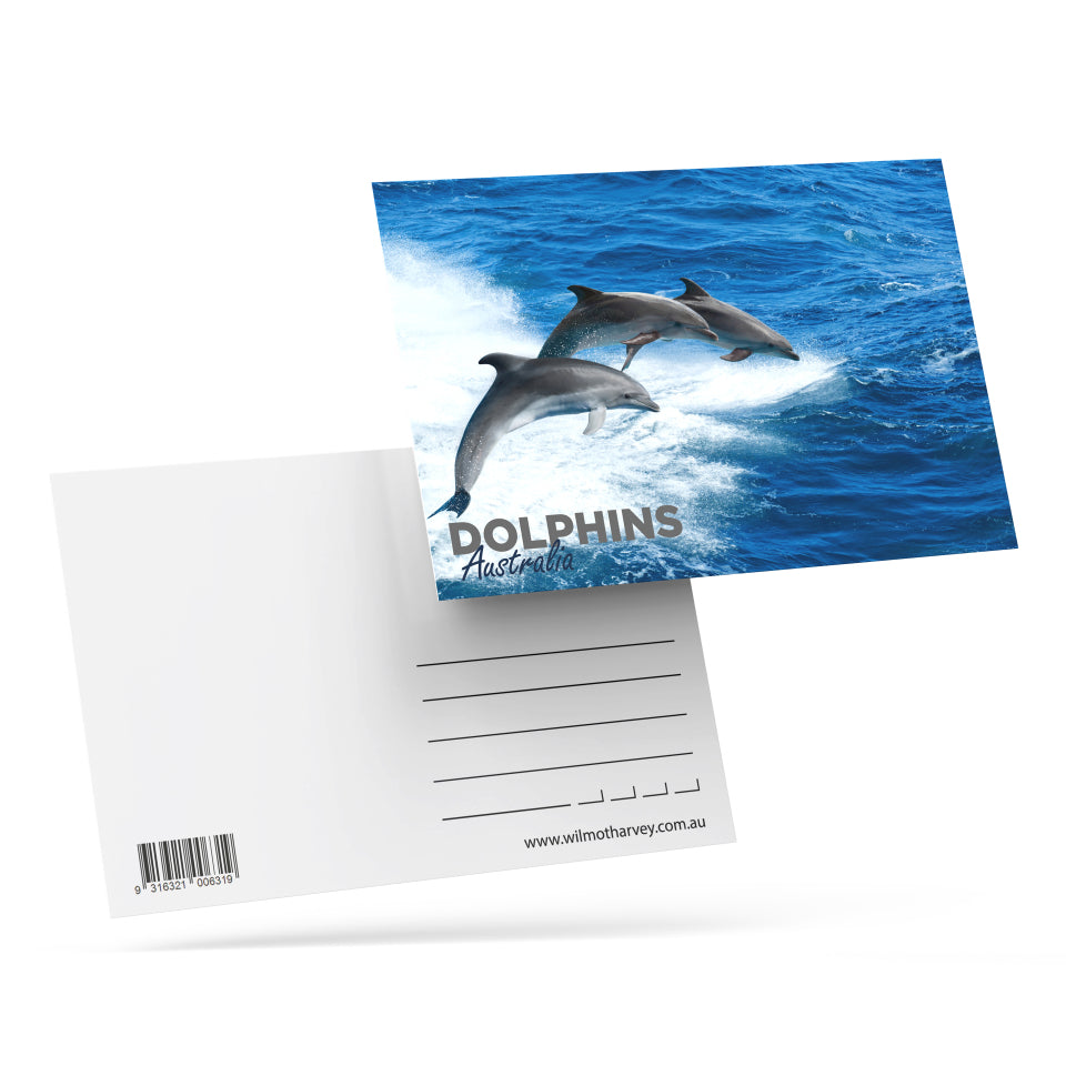 3D Postcard - Dolphins