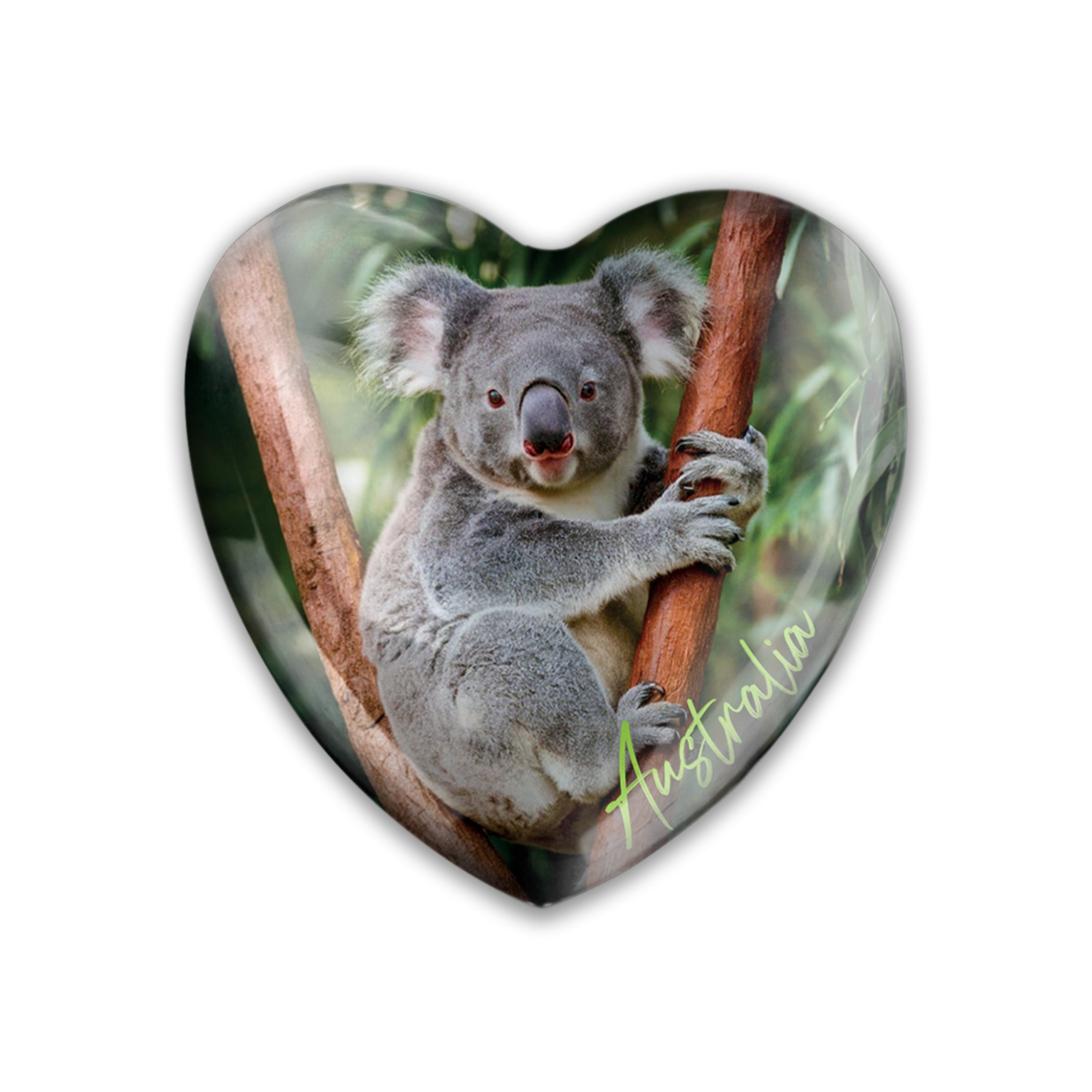 Acrylic Magnet - Koala Heart - Wilmot Harvey