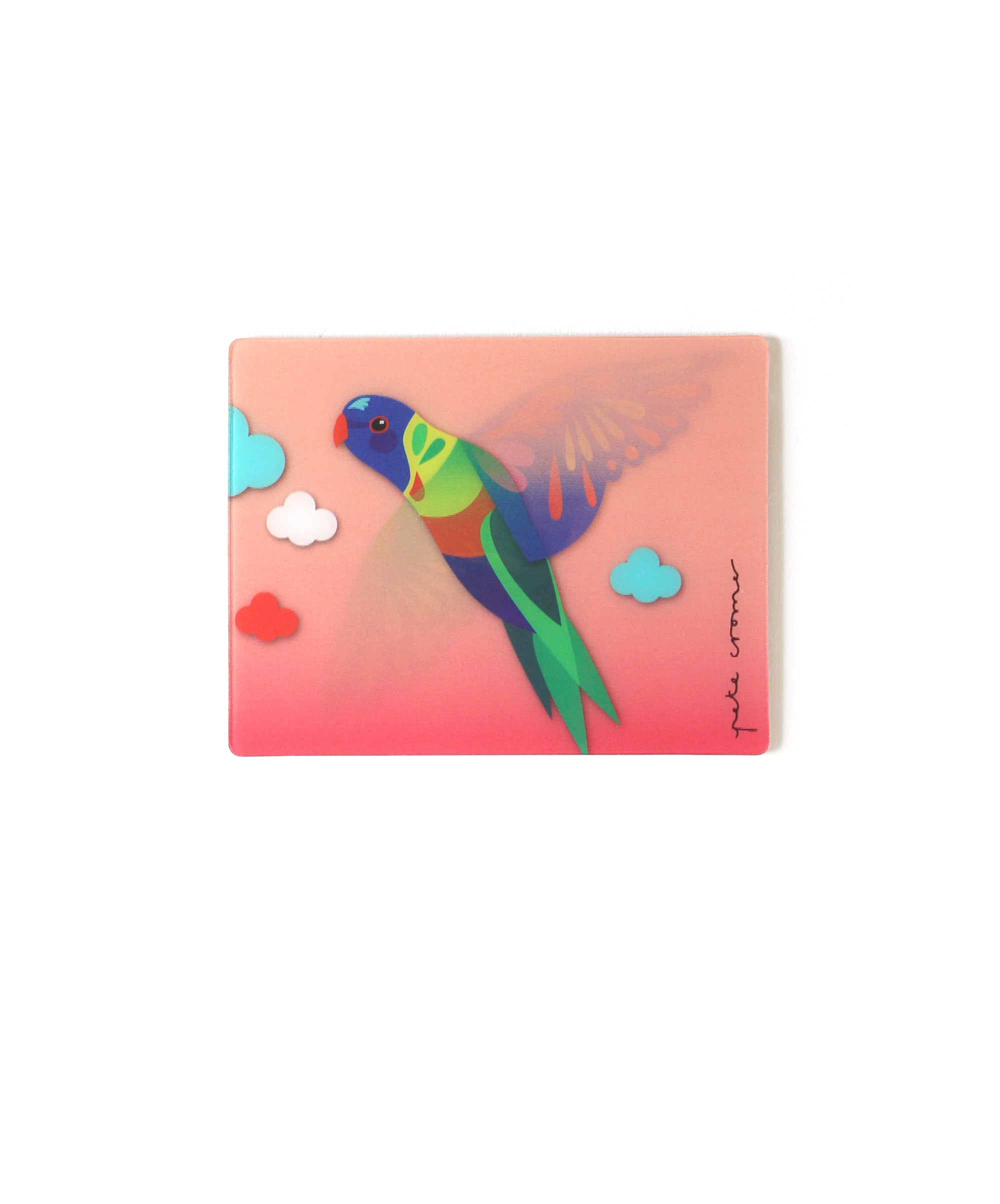 Pete Cromer 3D Magnet - Rainbow Lorikeet