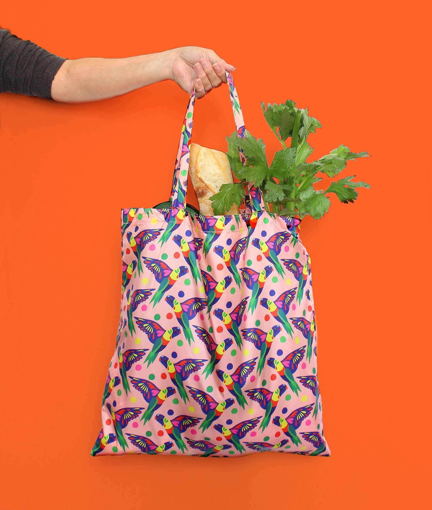 Pete Cromer Fold-Up Reusable Bag - Rainbow Lorikeet - Wilmot Harvey