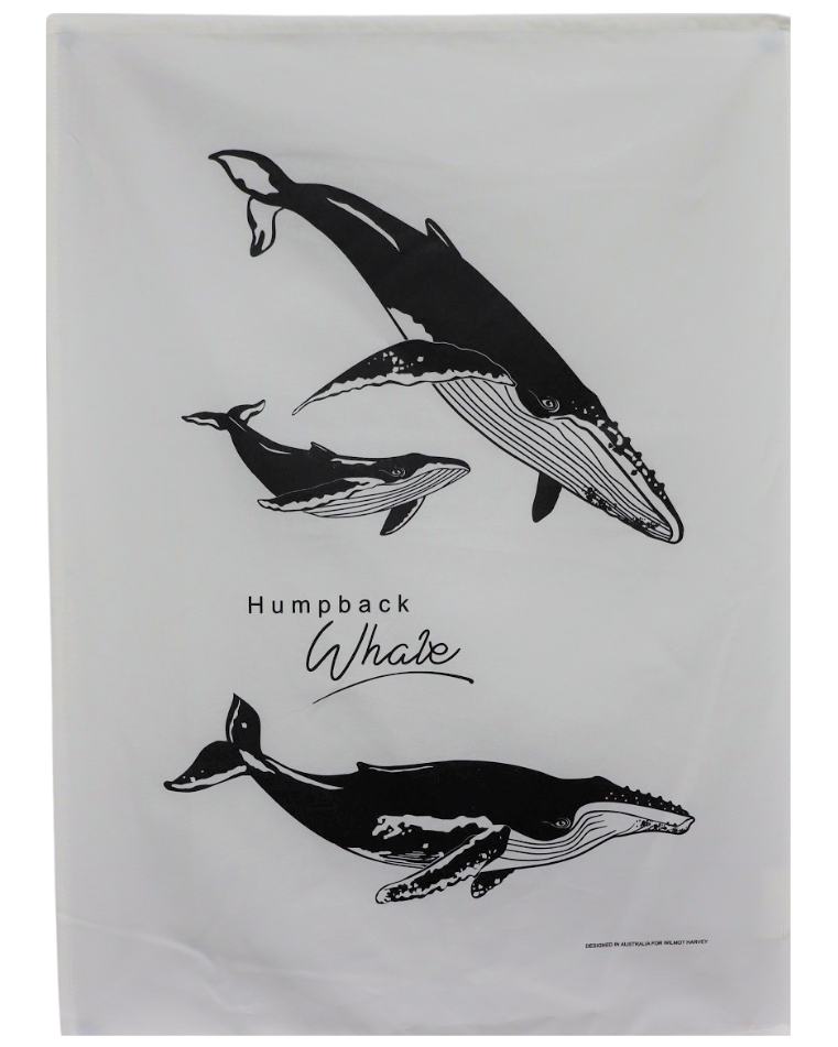 Tea Towel - Humpback Whales