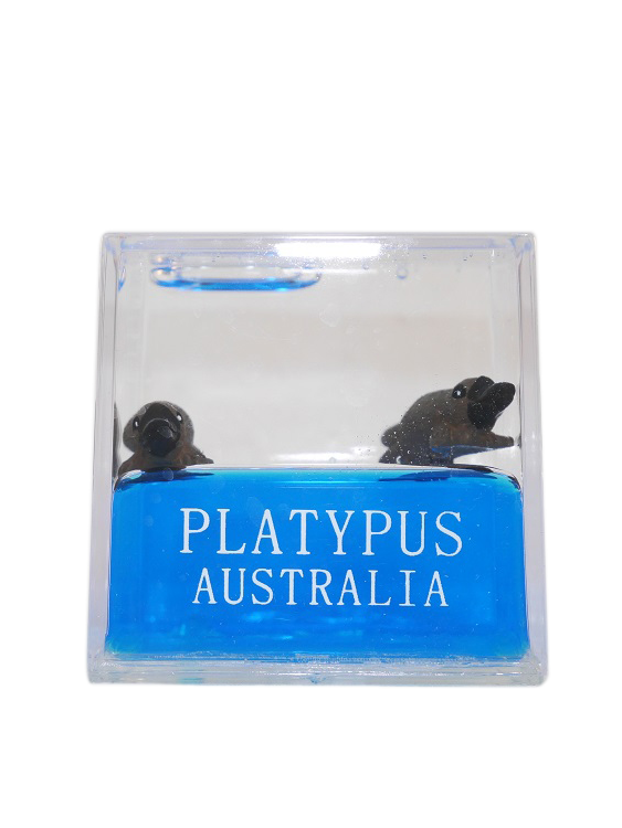 Platypus Water Cube - Wilmot Harvey Gifts & Souvenirs