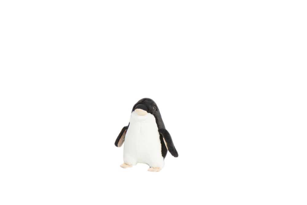 Black Penguin (3 sizes) - Wilmot Harvey Gifts & Souvenirs