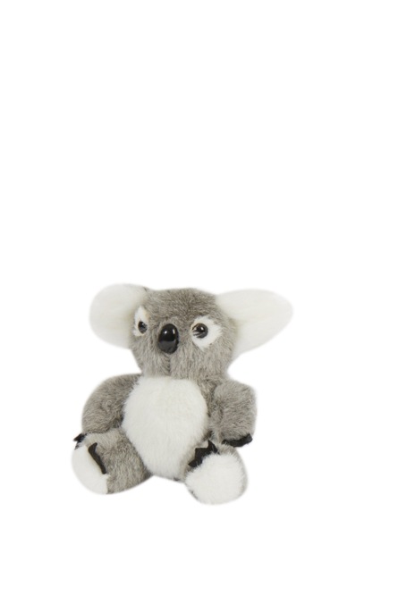 5.5” Koala - Wilmot Harvey Gifts & Souvenirs