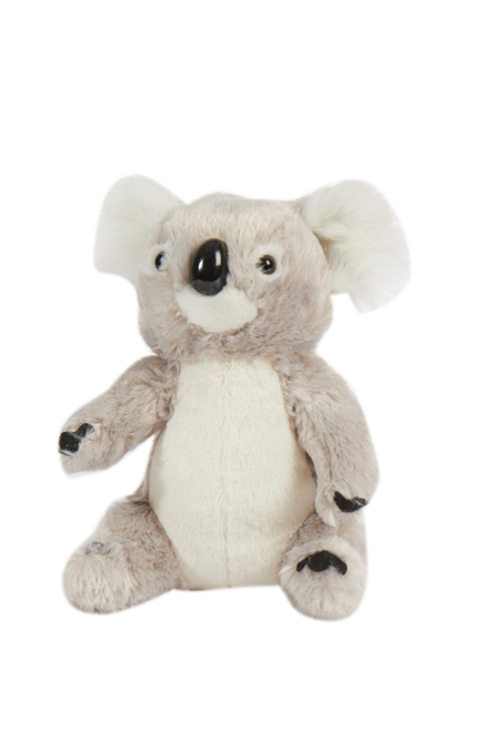 11” Soft Koala - Wilmot Harvey Gifts & Souvenirs