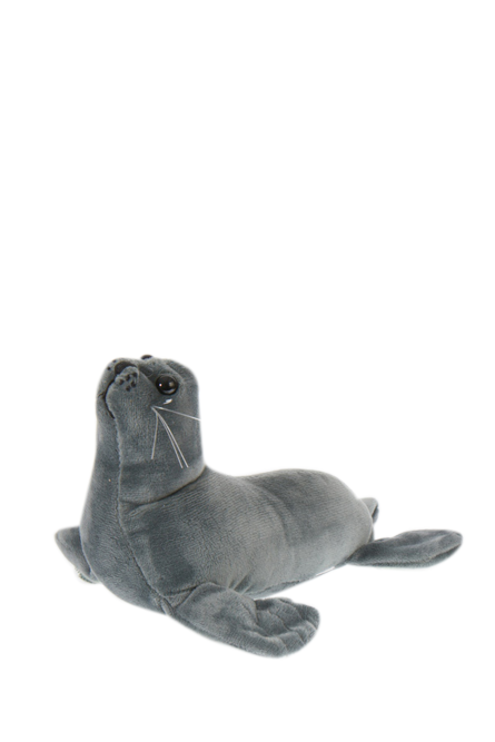 Grey Seal - Wilmot Harvey Gifts & Souvenirs