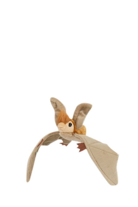 Bat - Wilmot Harvey Gifts & Souvenirs
