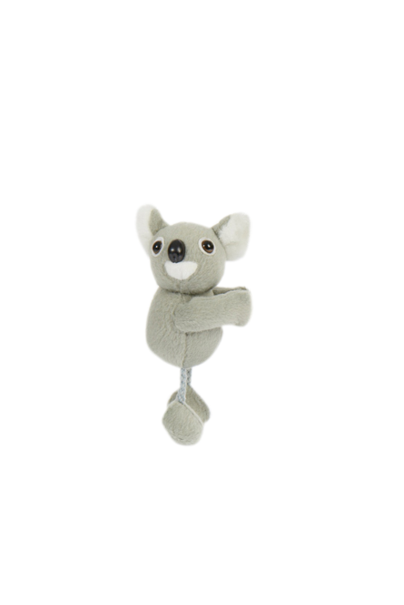 Koala Long Leg Magnet - Wilmot Harvey Gifts & Souvenirs