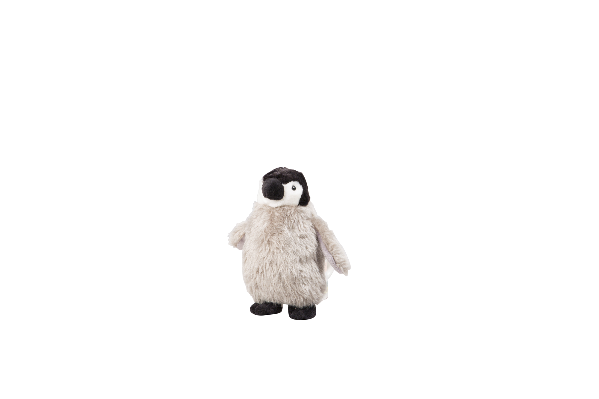Baby Penguin - Wilmot Harvey Gifts & Souvenirs